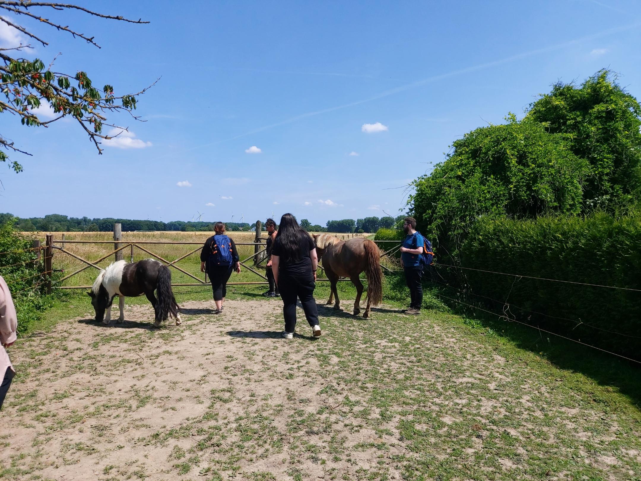 Vier Personen mit Rucksäcken stehen auf einem Feldweg neben zwei Ponys, umgeben von grünen Büschen und einem Holztor unter blauem Himmel