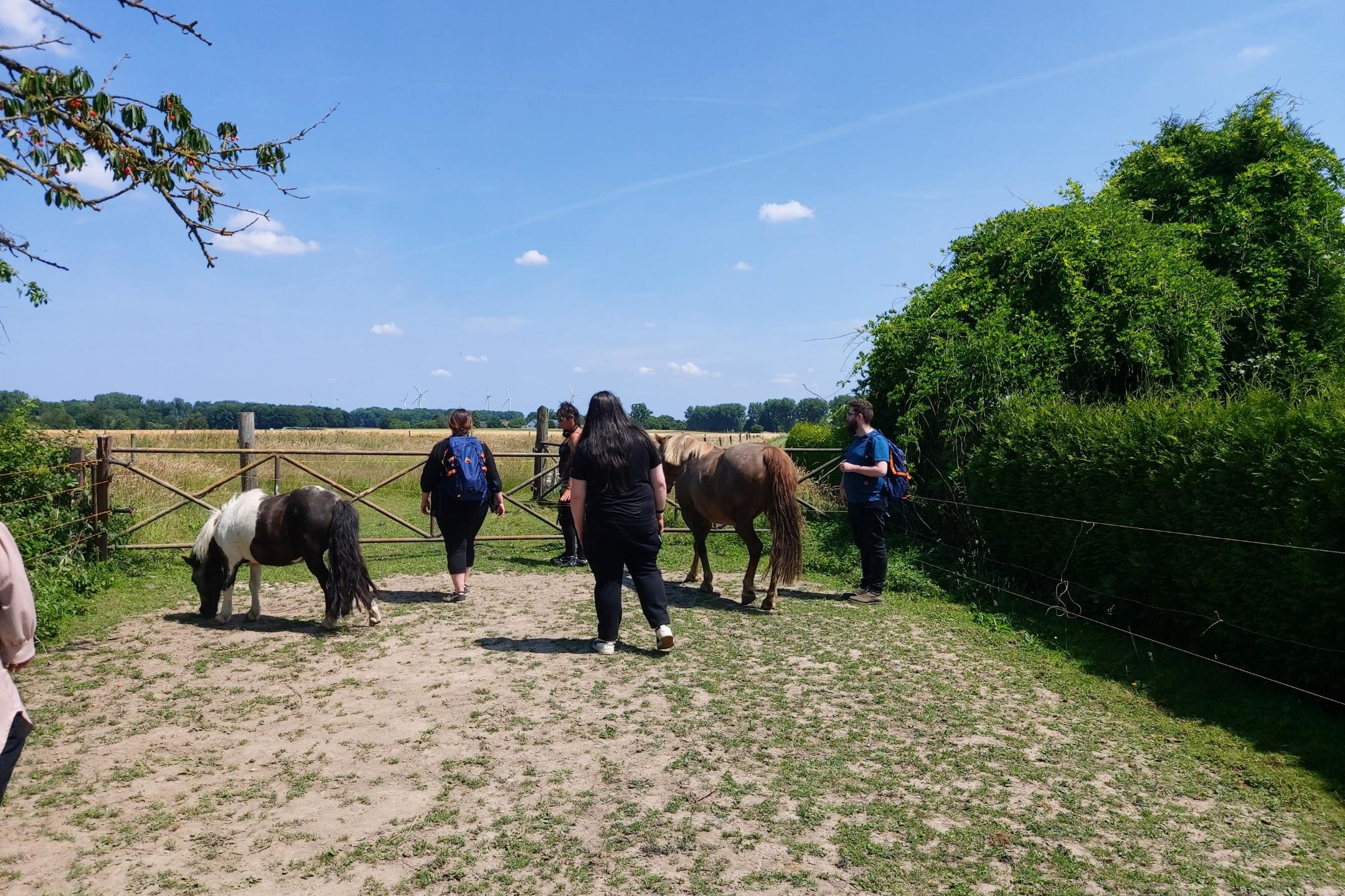 Vier Personen mit Rucksäcken stehen auf einem Feldweg neben zwei Ponys, umgeben von grünen Büschen und einem Holztor unter blauem Himmel