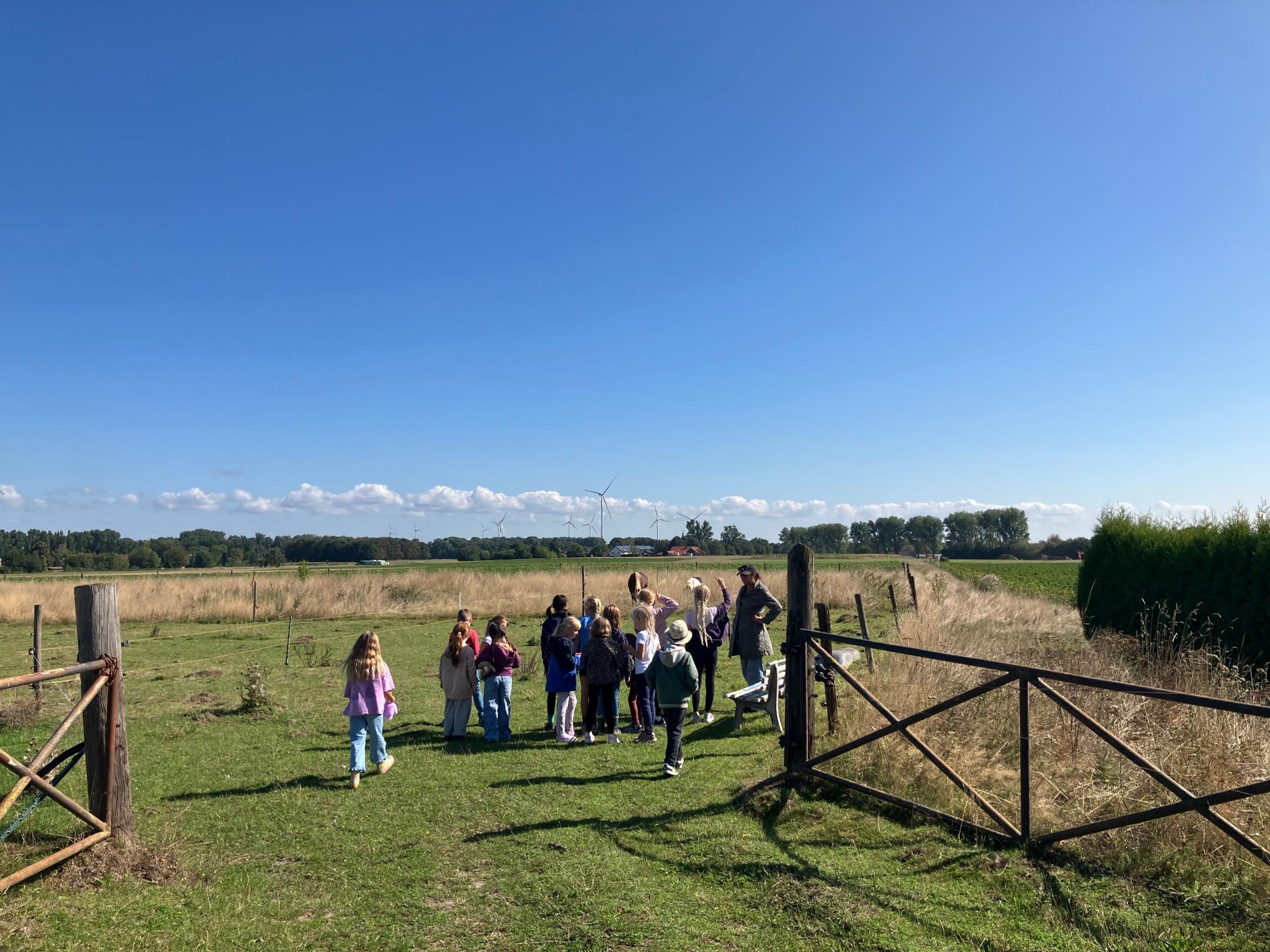 Gruppe von Kindern steht auf einer Wiese hinter einem offenen Holztor unter blauem Himmel