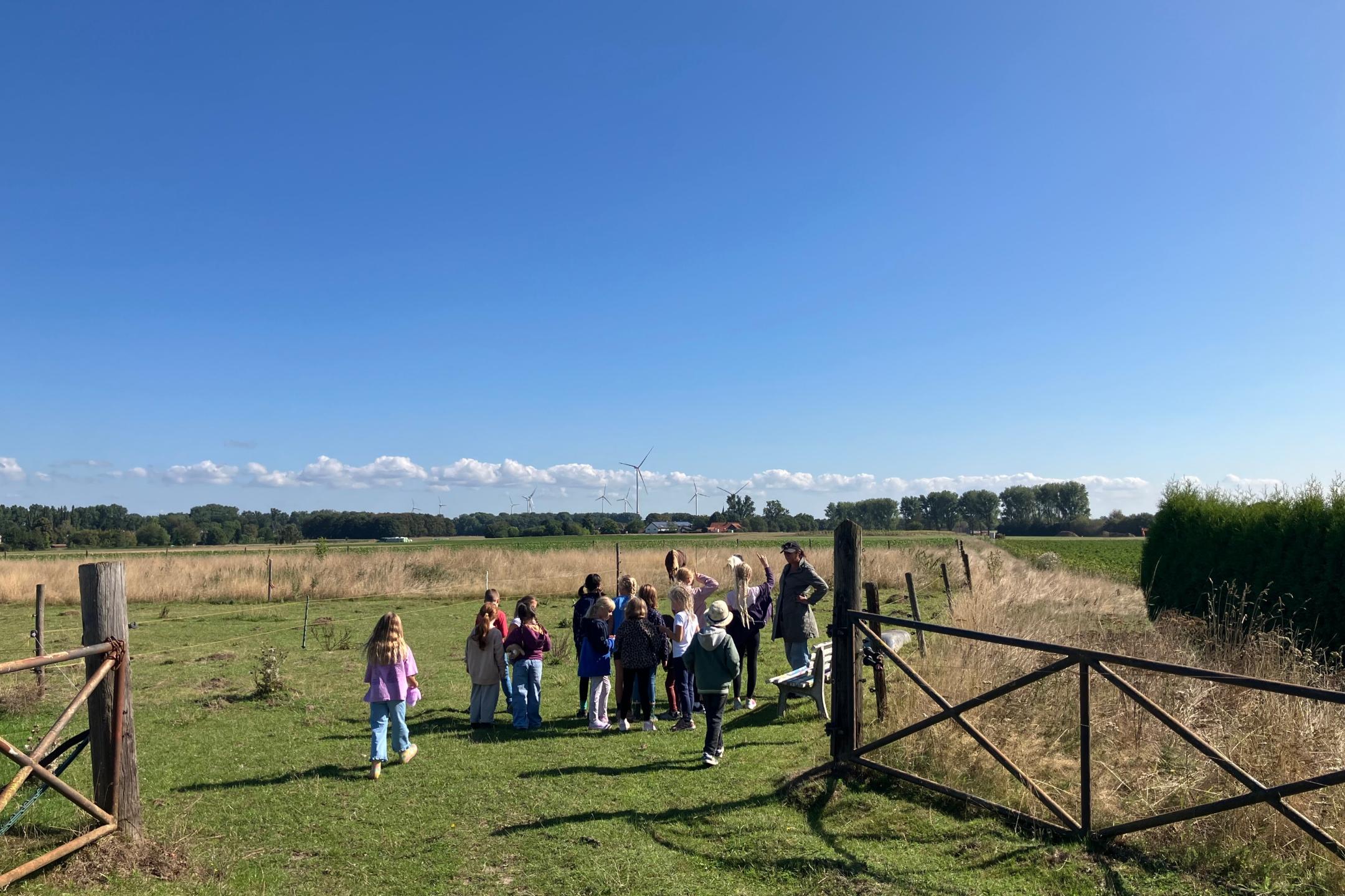 Gruppe von Kindern steht auf einer Wiese hinter einem offenen Holztor unter blauem Himmel